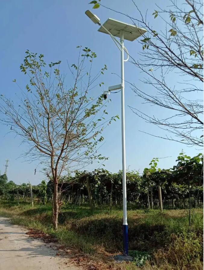 晴空排云雁高飛,源碼項目掀熱潮